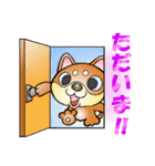 柴犬と一緒の時間 Part2（個別スタンプ：9）