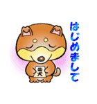 柴犬と一緒の時間 Part2（個別スタンプ：10）