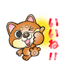 柴犬と一緒の時間 Part2（個別スタンプ：11）