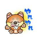 柴犬と一緒の時間 Part2（個別スタンプ：15）