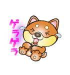 柴犬と一緒の時間 Part2（個別スタンプ：17）