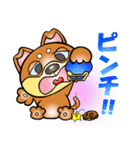 柴犬と一緒の時間 Part2（個別スタンプ：22）