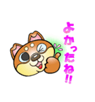 柴犬と一緒の時間 Part2（個別スタンプ：24）