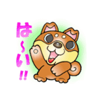 柴犬と一緒の時間 Part2（個別スタンプ：25）
