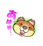 柴犬と一緒の時間 Part2（個別スタンプ：29）