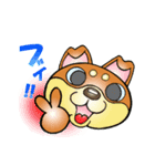 柴犬と一緒の時間 Part2（個別スタンプ：31）