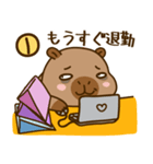 かわいい 太った カピバラ V8 [仕事]（個別スタンプ：30）