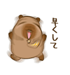 かわいい 太った カピバラ V8 [仕事]（個別スタンプ：34）