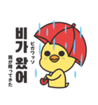 そばかすぴよこ 10（個別スタンプ：32）
