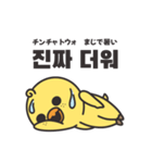 そばかすぴよこ 10（個別スタンプ：38）