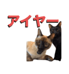 お酒とネコ好きな日常会話32（個別スタンプ：27）
