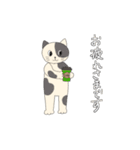 ネコニャーたちの基本の敬語あいさつ（個別スタンプ：7）