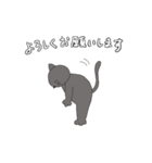 ネコニャーたちの基本の敬語あいさつ（個別スタンプ：19）