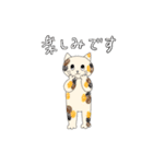 ネコニャーたちの基本の敬語あいさつ（個別スタンプ：24）