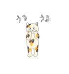 ネコニャーたちの基本の敬語あいさつ（個別スタンプ：35）