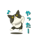 きもちまるごと！ハチワレぶーにゃん（個別スタンプ：1）