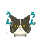きもちまるごと！ハチワレぶーにゃん（個別スタンプ：5）