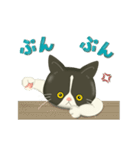 きもちまるごと！ハチワレぶーにゃん（個別スタンプ：9）