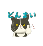 きもちまるごと！ハチワレぶーにゃん（個別スタンプ：11）