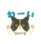 きもちまるごと！ハチワレぶーにゃん（個別スタンプ：13）