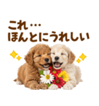 毎日使える！感情豊かで可愛いトイプードル（個別スタンプ：6）