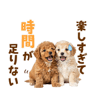 毎日使える！感情豊かで可愛いトイプードル（個別スタンプ：7）