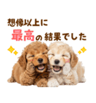 毎日使える！感情豊かで可愛いトイプードル（個別スタンプ：13）