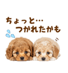 毎日使える！感情豊かで可愛いトイプードル（個別スタンプ：28）