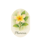8月の花シリーズ:August Flowers（個別スタンプ：3）