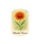 8月の花シリーズ:August Flowers（個別スタンプ：6）