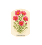8月の花シリーズ:August Flowers（個別スタンプ：7）