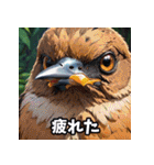 ことりの感情パレード（個別スタンプ：11）