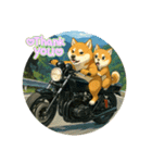 芝犬がバイクで2匹乗り！（個別スタンプ：1）