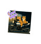 芝犬がバイクで2匹乗り！（個別スタンプ：6）