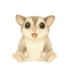 モモンガのしずくちゃん Vol.1（個別スタンプ：8）