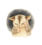 モモンガのしずくちゃん Vol.1（個別スタンプ：9）
