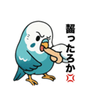 おしゃべりインコのスタンプ（個別スタンプ：1）