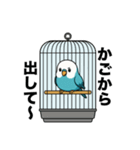 おしゃべりインコのスタンプ（個別スタンプ：16）
