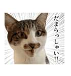 うずめの毎日4（個別スタンプ：5）