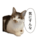 うずめの毎日4（個別スタンプ：6）