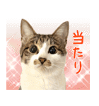 うずめの毎日4（個別スタンプ：8）