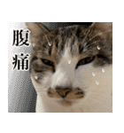 うずめの毎日4（個別スタンプ：10）