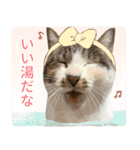 うずめの毎日4（個別スタンプ：17）