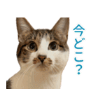 うずめの毎日4（個別スタンプ：19）