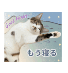 うずめの毎日4（個別スタンプ：23）