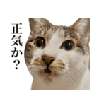 うずめの毎日4（個別スタンプ：24）