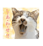 うずめの毎日4（個別スタンプ：26）