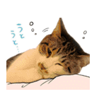うずめの毎日4（個別スタンプ：30）