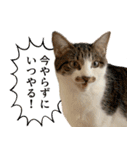 うずめの毎日4（個別スタンプ：32）