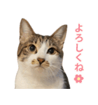 うずめの毎日4（個別スタンプ：35）